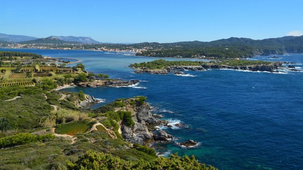 Camping la Baume la Palmeraie à Fréjus